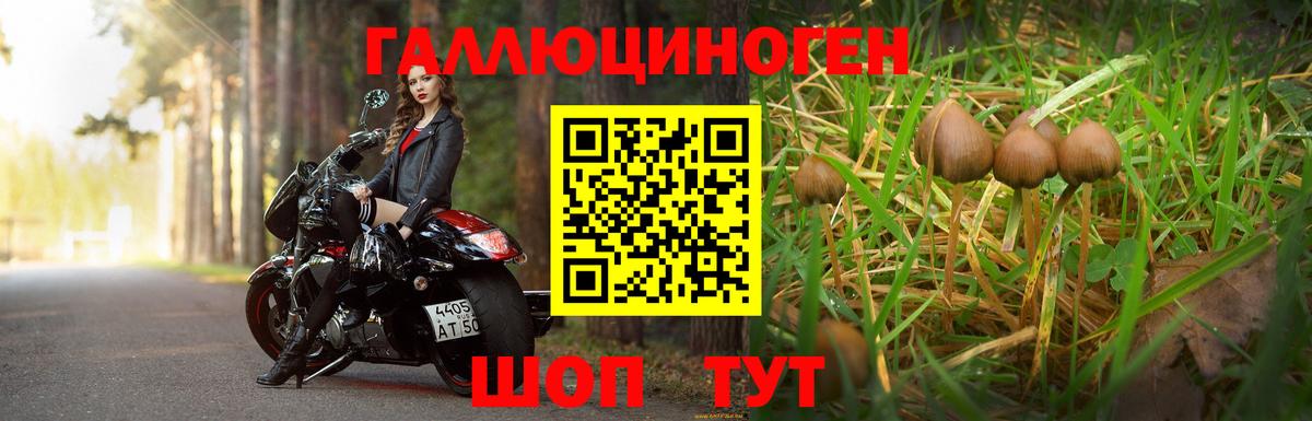 Киреевск  Галлюциногенные грибы MAGIC MUSHROOMS  Вход с VPN 